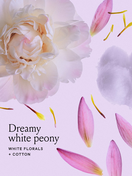 All Day Deodorant - Image 4