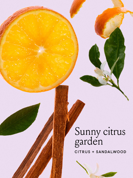 Body Lotion - Image 3